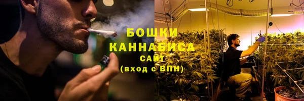 ПСИЛОЦИБИНОВЫЕ ГРИБЫ Кодинск